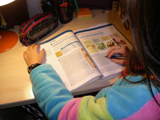 Gypsy student doing her homework